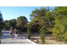 2017-10-22 09-15-17.JPG