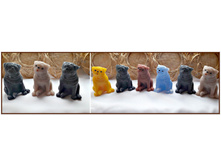 ����, 110 ���