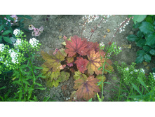 WP 20170811 16 48 58 Pro.jpg