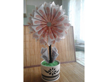 20161123 143359.jpg