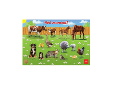 «���� ���������� ����������� 200�300�� ���� � �����-��� �����?- » 48�