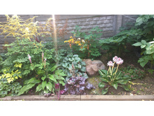 WP 20170819 13 41 32 Pro.jpg