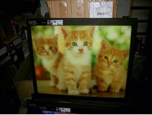 PGS 3021 ��� �������� - 500�