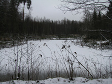 IMG 8045.JPG