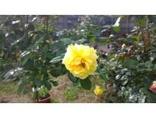 WP 20170914 09 56 13 Pro  highres.jpg