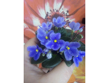 �-������ ����