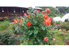 WP 20170709 12 33 10 Pro.jpg