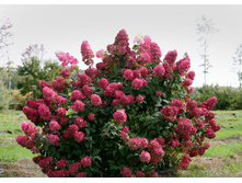 ��������� ����������� ���� ����� ����� � ������� 296�