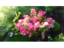 P 20170813 084325.jpg