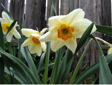 IMG 20170509 134415.jpg