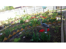 WP 20170521 16 14 38 Pro.jpg