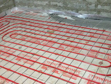 ������ ���2.jpg