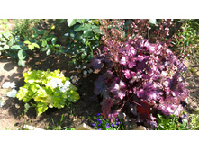 WP 20170820 09 45 18 Pro.jpg