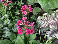 ������� ��������