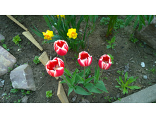 WP 20170527 09 49 02 Pro  highres.jpg