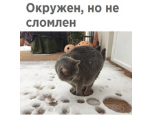 ����֣�, �� �� �������