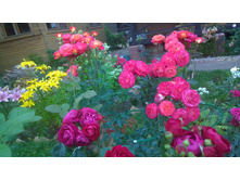 WP 20170730 10 43 17 Pro.jpg