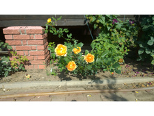 WP 20170820 09 38 36 Pro  highres.jpg