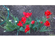 WP 20170521 16 14 52 Pro.jpg