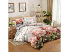 ������ ����1.jpg