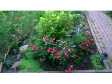 WP 20170719 20 56 08 Pro.jpg