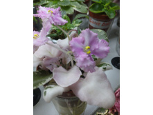 �-���������