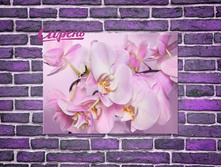 08359 "������ �������"