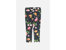 20220160117   Kip          (      ).jpg