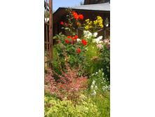 WP 20170820 09 43 55 Pro.jpg