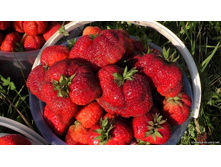 ��������� ���������� ������� ���, 44���. (�������� 4��).jpg