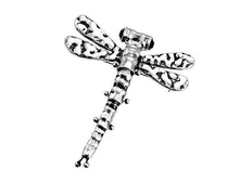 60001820 ����� 301 ���..jpg