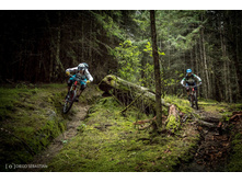 17240544 402890536736951 6066672865768174832 o.jpg