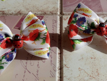 20170915 143702-2.jpg