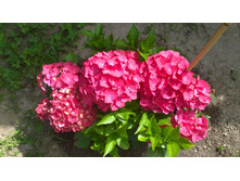 WP 20170630 12 48 08 Pro.jpg