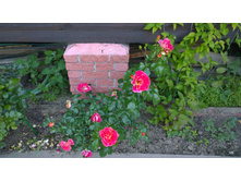 WP 20170716 18 38 17 Pro.jpg