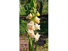 WP 20170910 09 04 54 Pro.jpg