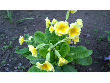 WP 20170521 16 16 16 Pro.jpg