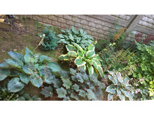 WP 20170819 13 41 57 Pro.jpg