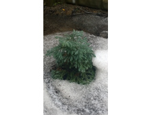 WP 20170319 12 33 23 Pro.jpg