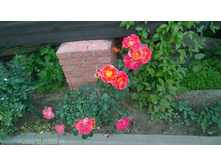 WP 20170721 09 06 25 Pro.jpg