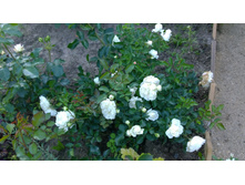 WP 20170716 18 40 50 Pro.jpg