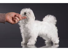 21584149 1556141587765309 1683889300 o.jpg