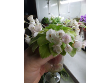 IMG 20170527 225504.jpg