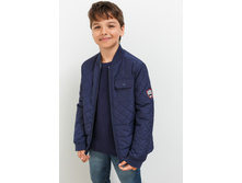 21110130006   Pochard        -     .jpg