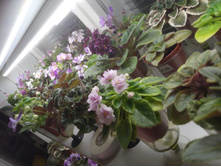 �������))