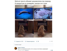 ��� � ��������� - ������� ������!