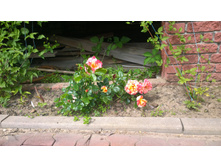 WP 20170630 11 55 40 Pro  highres.jpg