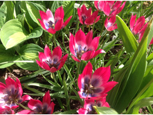 ������� ����� �����