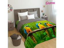 ����005-01181 "����������� �������"