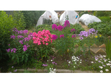 WP 20170730 10 48 43 Pro.jpg